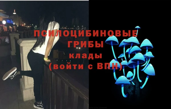 мдпв Вязьма