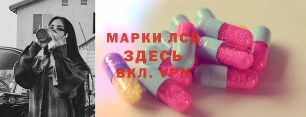 мдпв Вяземский