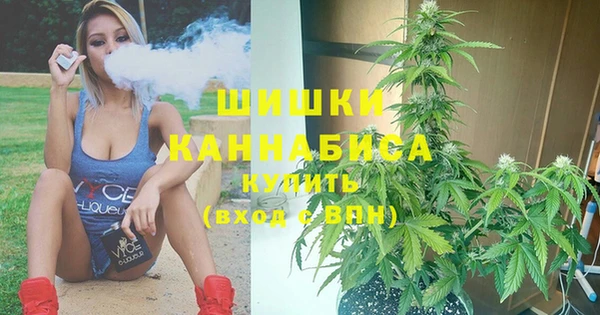 мдпв Вязьма