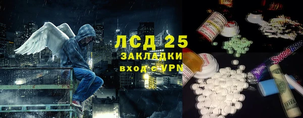 мдпв Вяземский