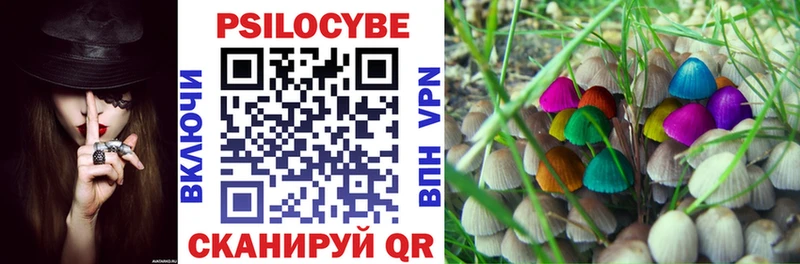 Псилоцибиновые грибы Cubensis купить наркотики сайты Топки