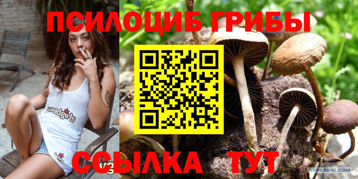 Топки  Псилоцибиновые грибы Cubensis  Псилоцибиновые грибы Psilocybine cubensis  Вход с VPN 